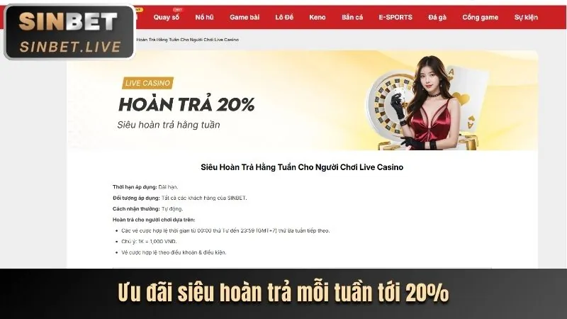 Hoàn trả hàng ngày m.95win
